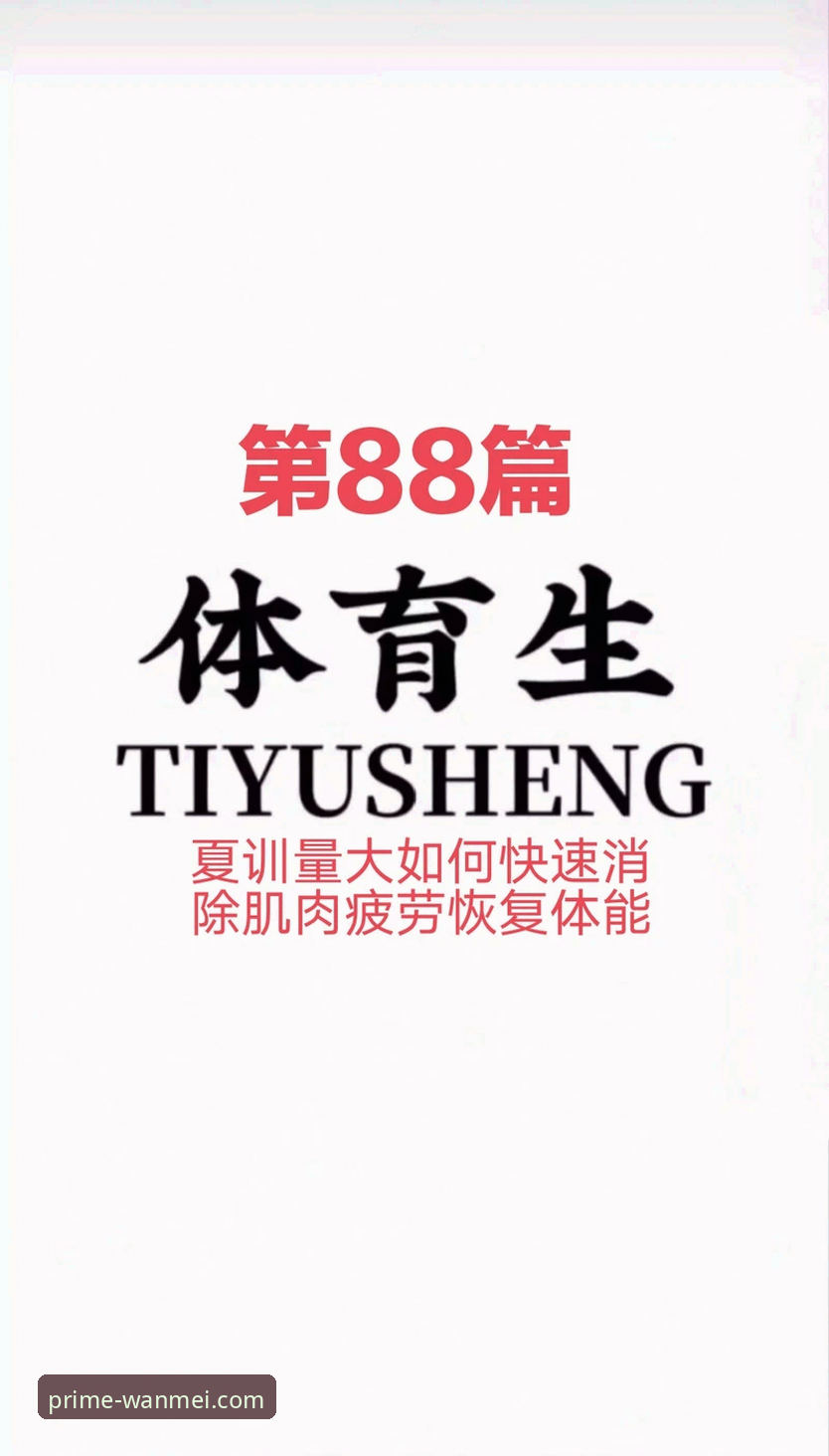 完美体育官网功能丰富评测：网页版vs手机版，哪个更适合你？